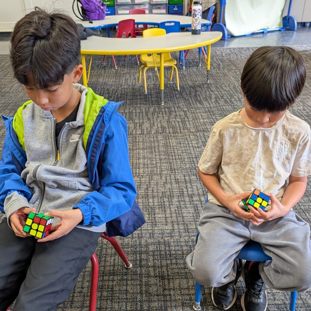 PXL_20250206_201350504